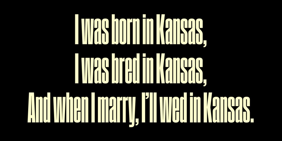 Field Gothic Font Family preview image 2
