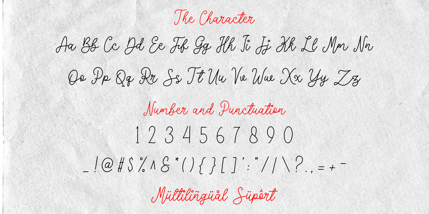 Dona Freddie Font preview image 4