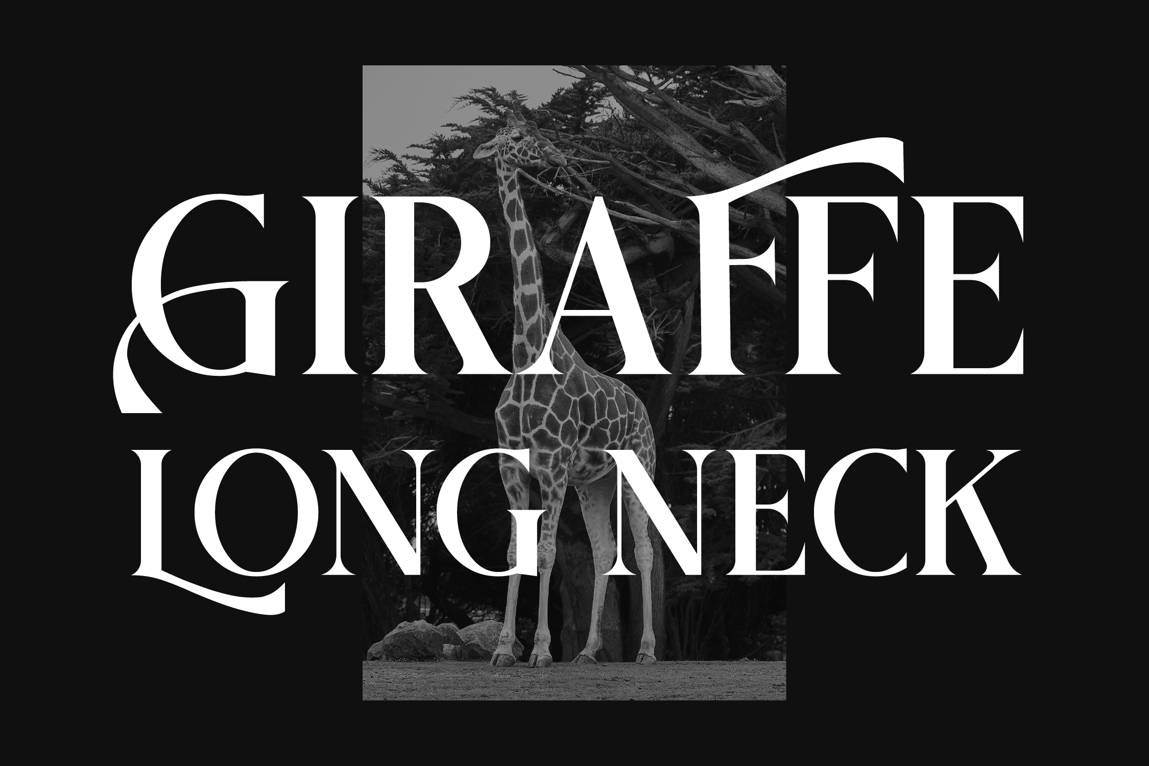 Griena Elegant Font preview image 3