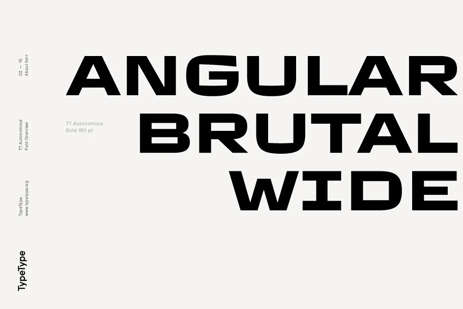 TT Autonomous Font Family preview image 2