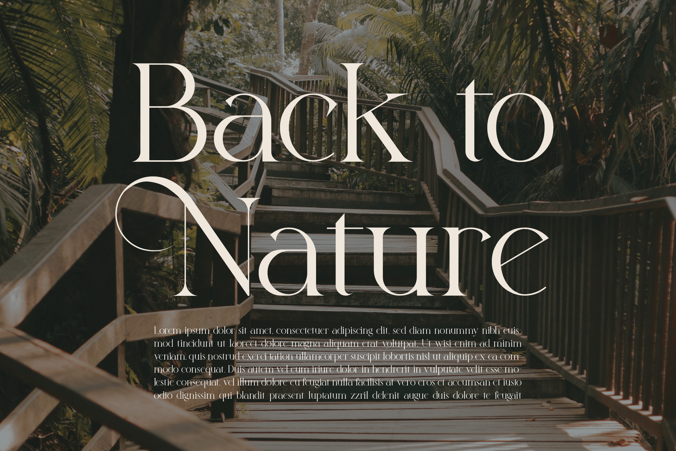 Wallika Modern Font preview image 3