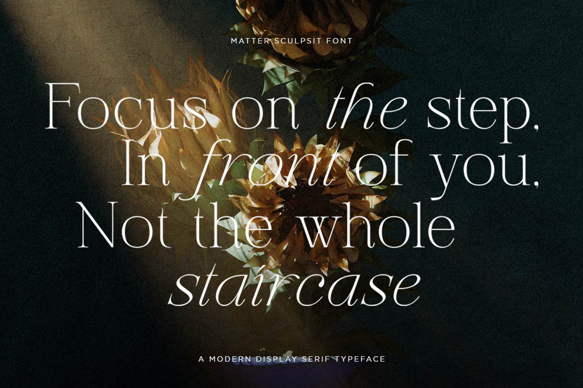 Matter Sculpsit Font preview image 2