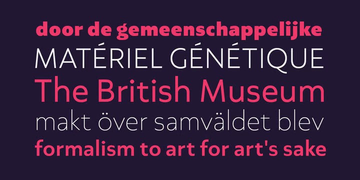 Axios Pro Font Family preview image 4