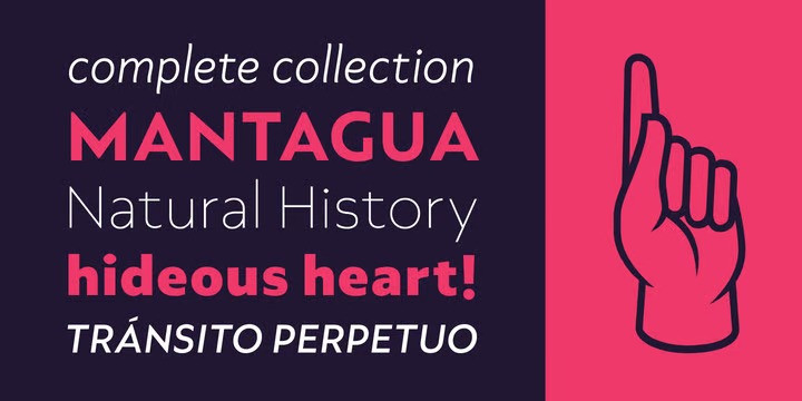 Axios Pro Font Family preview image 3