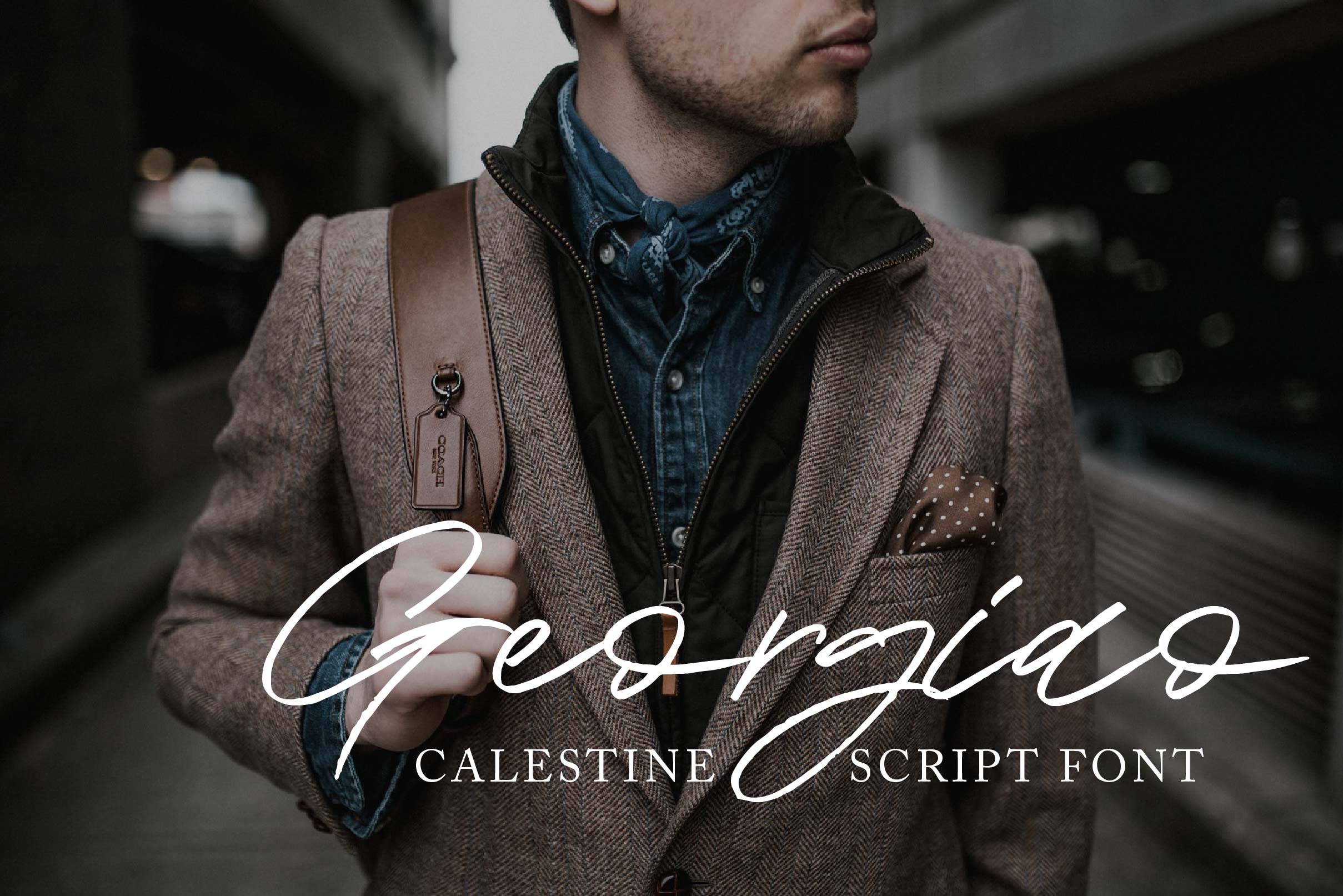Calestine Font preview image 2