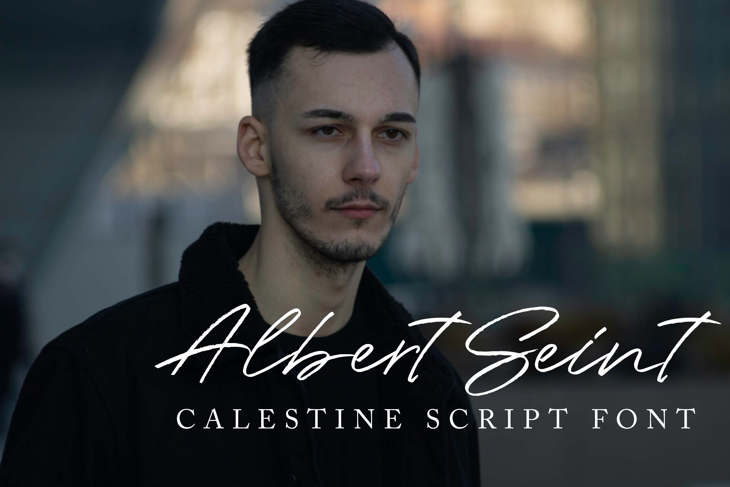 Calestine Font preview image 5