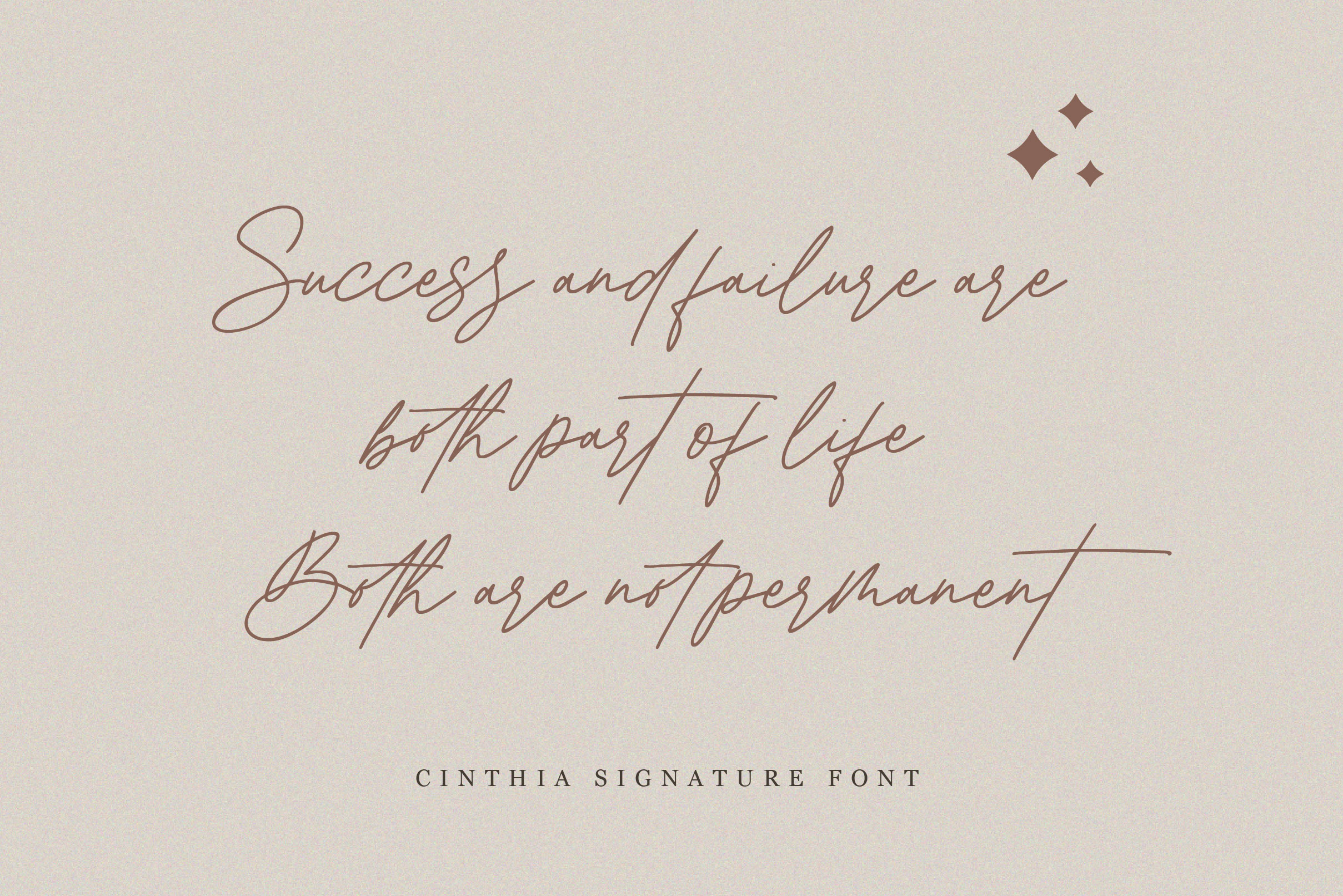 Cinthia Signature Font preview image 3