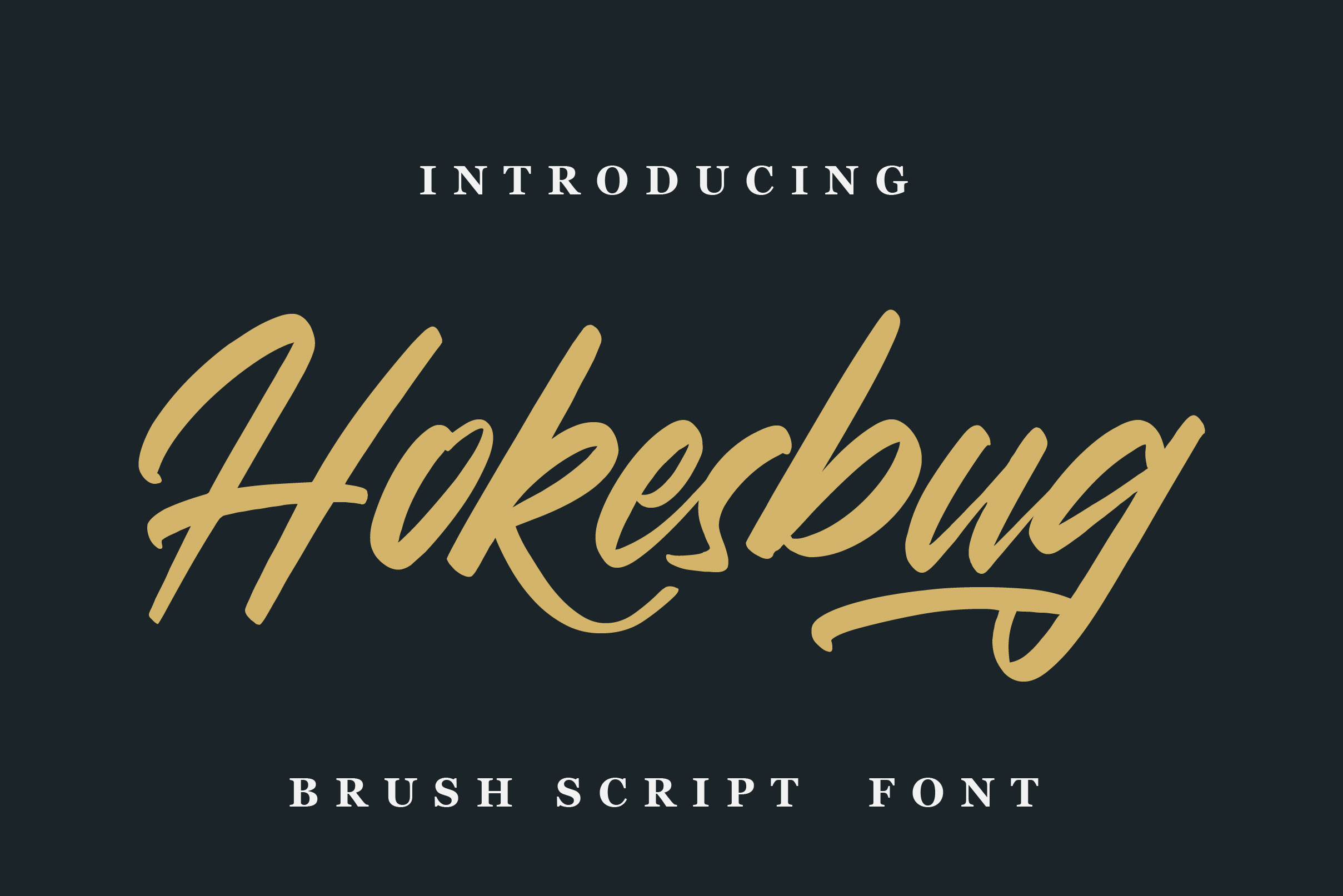 Hokesbug Script Font