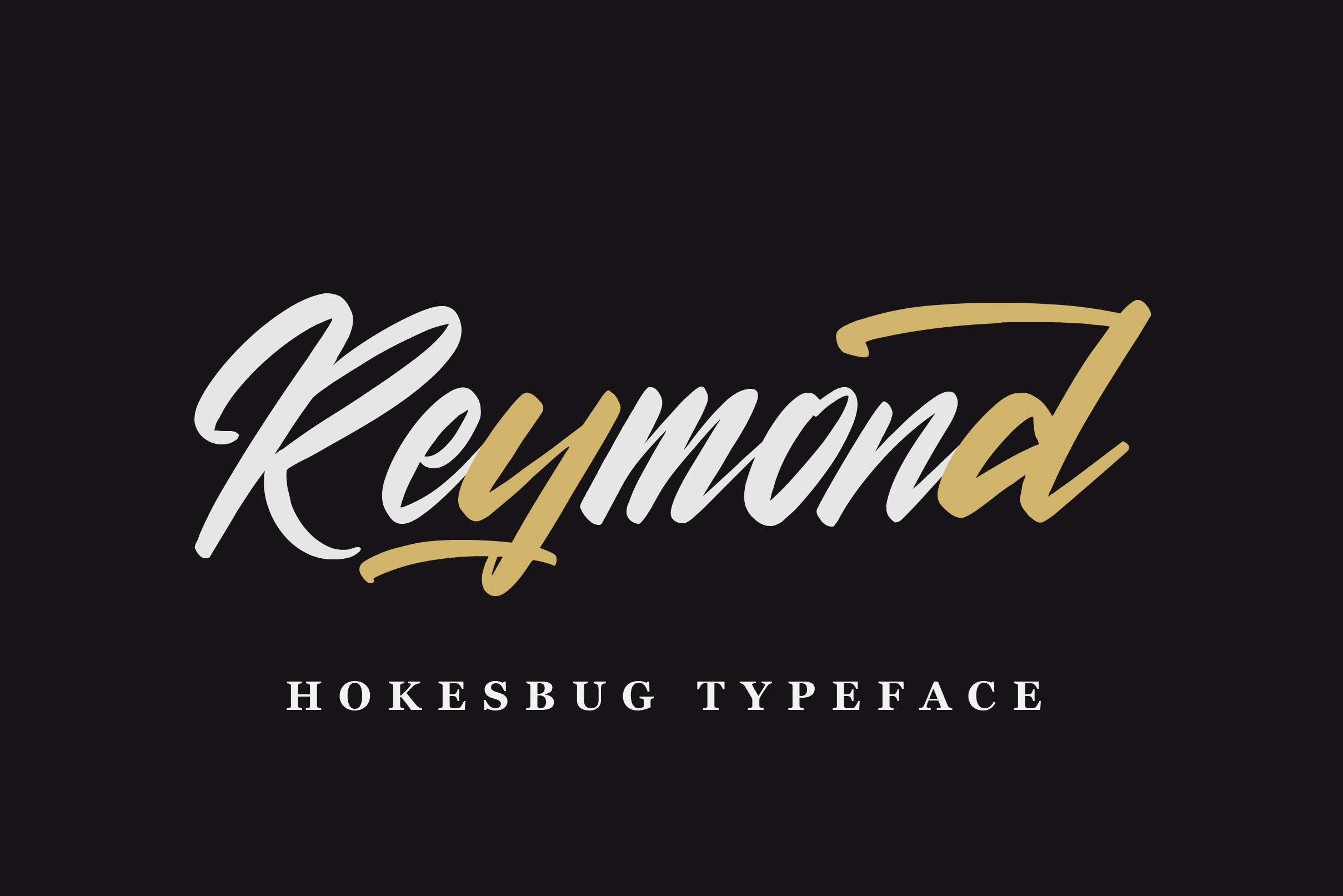 Hokesbug Font preview image 3