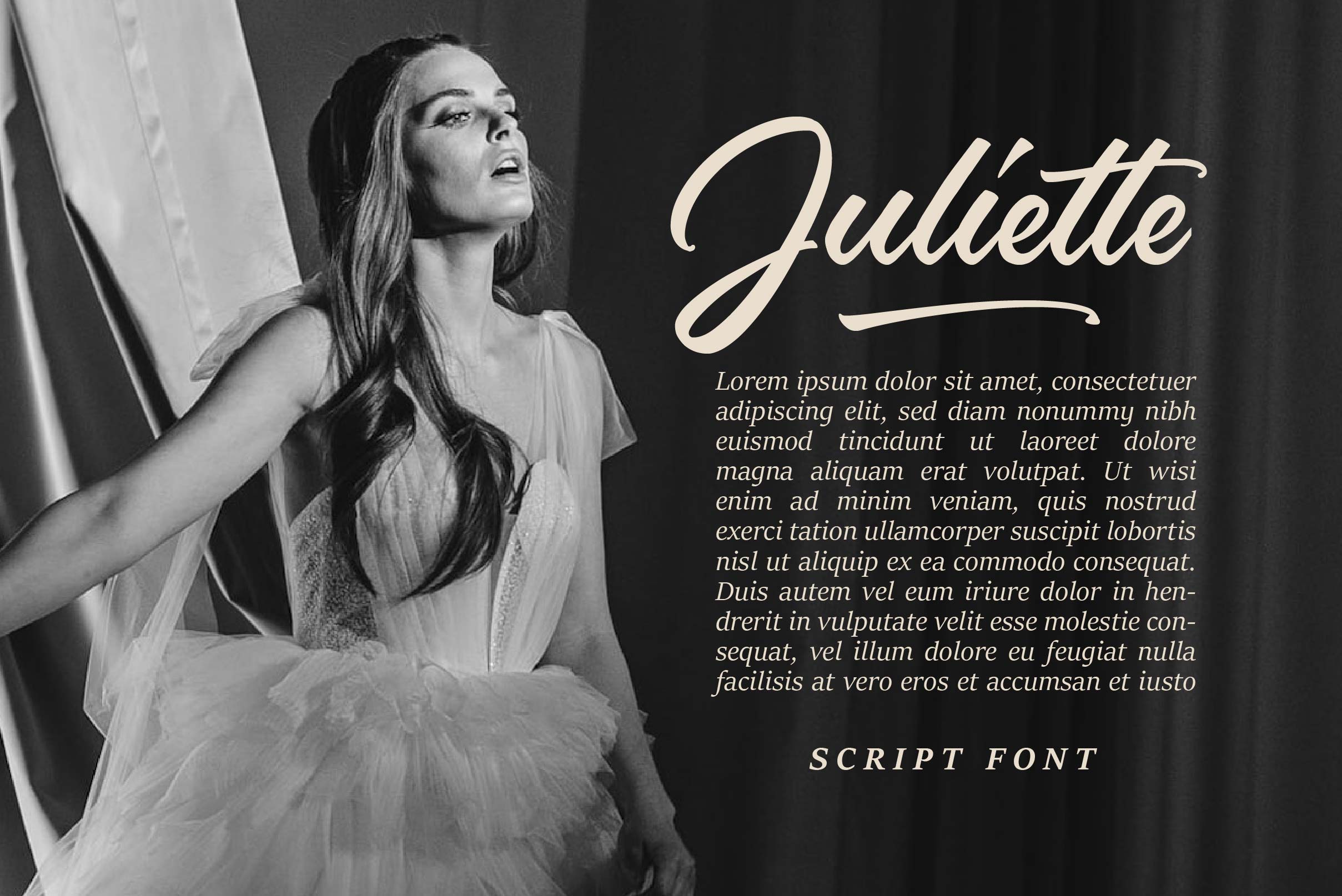Palmaire Font preview image 4