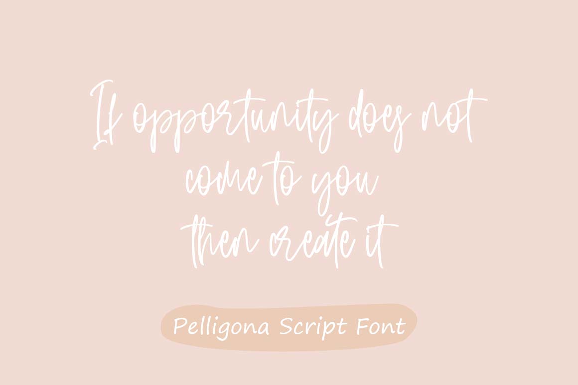 Pelligona Font preview image 2