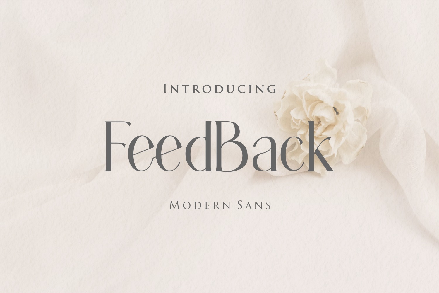 Feedback Serif Font