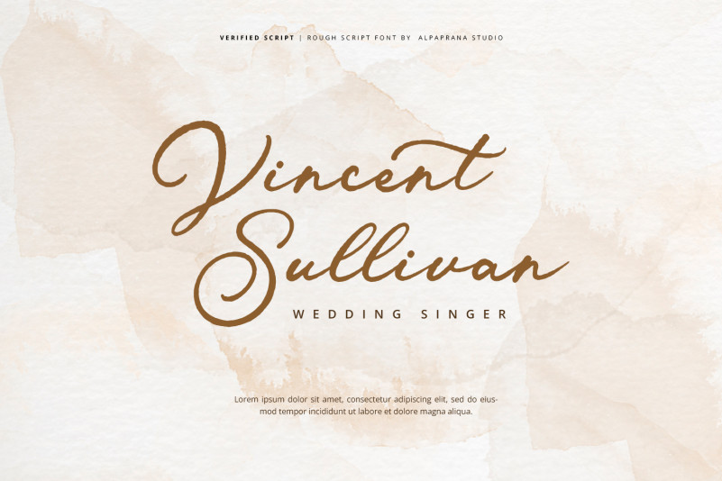 Verified Script Font preview image 2