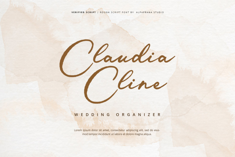 Verified Script Font preview image 3