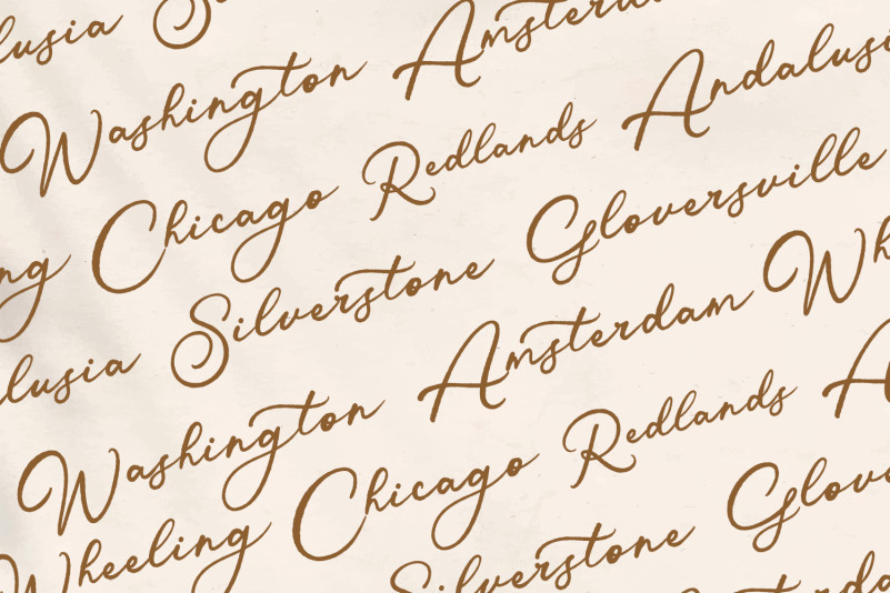 Verified Script Font preview image 4