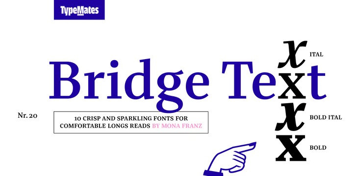 Bridge Text Font Family preview image 1