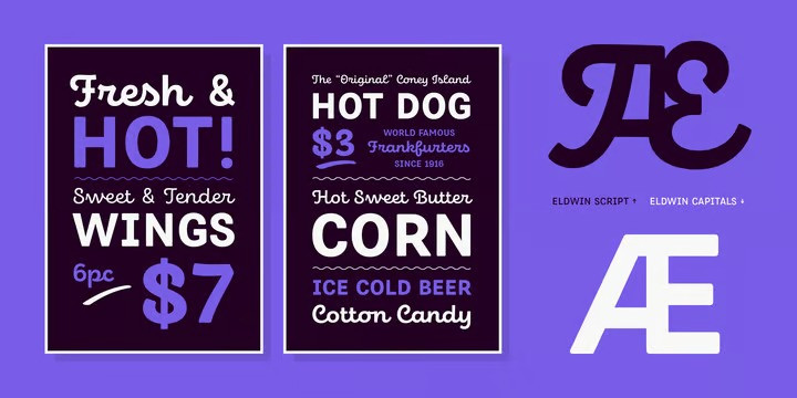 Eldwin Font Family preview image 2