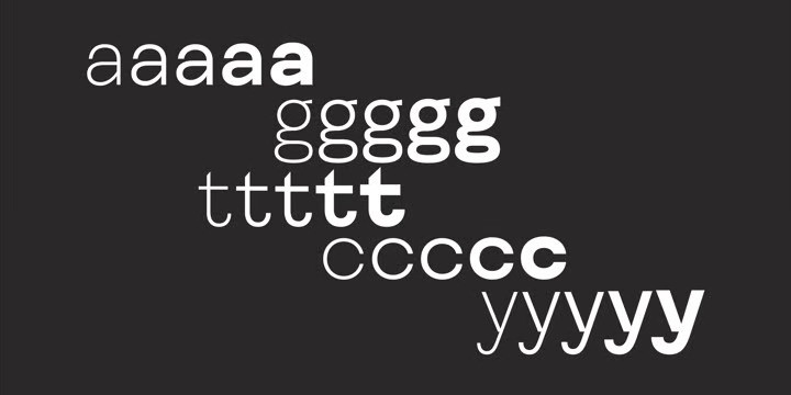 FS Meridian Font Family preview image 3
