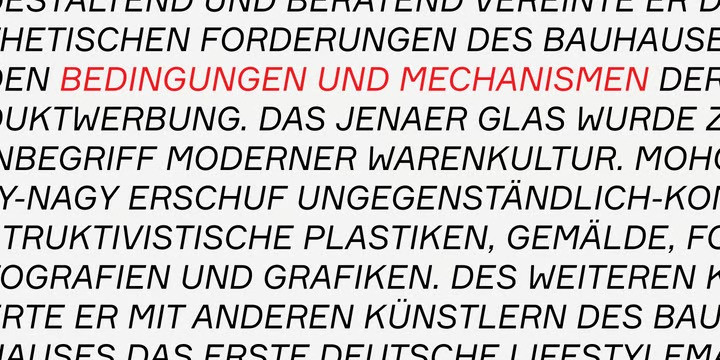 Formular Font Family preview image 4