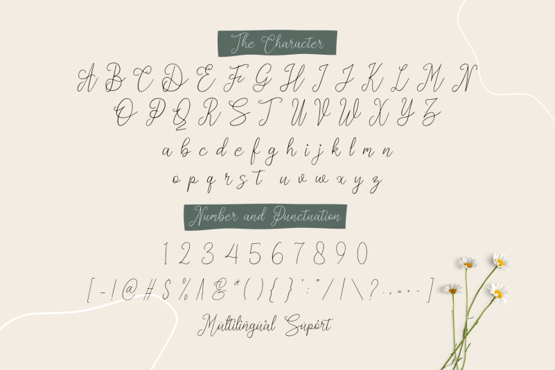 Cashman Font preview image 4