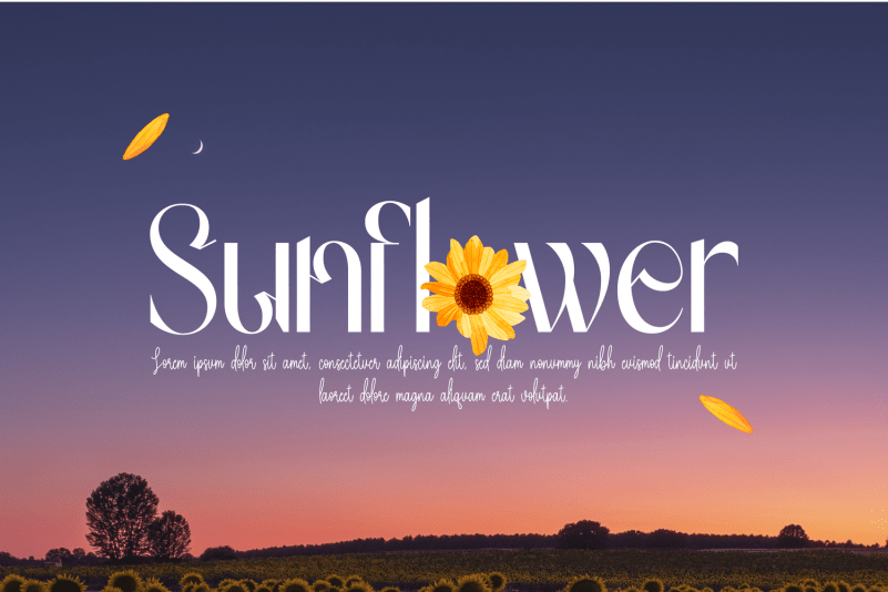 Gradually Reduced Font preview image 2
