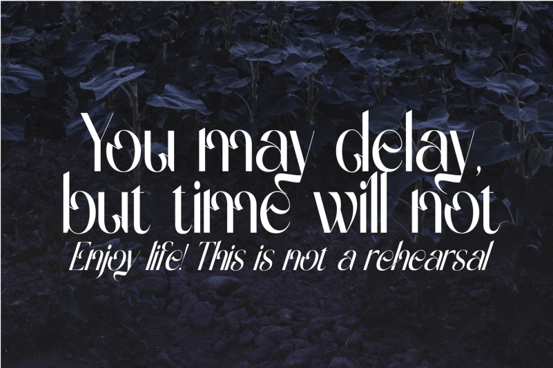 Gradually Reduced Font preview image 3