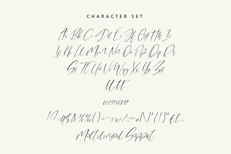Maleding Font preview image 5