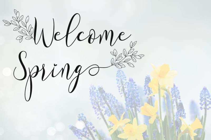 Spring Morning Font preview image 2
