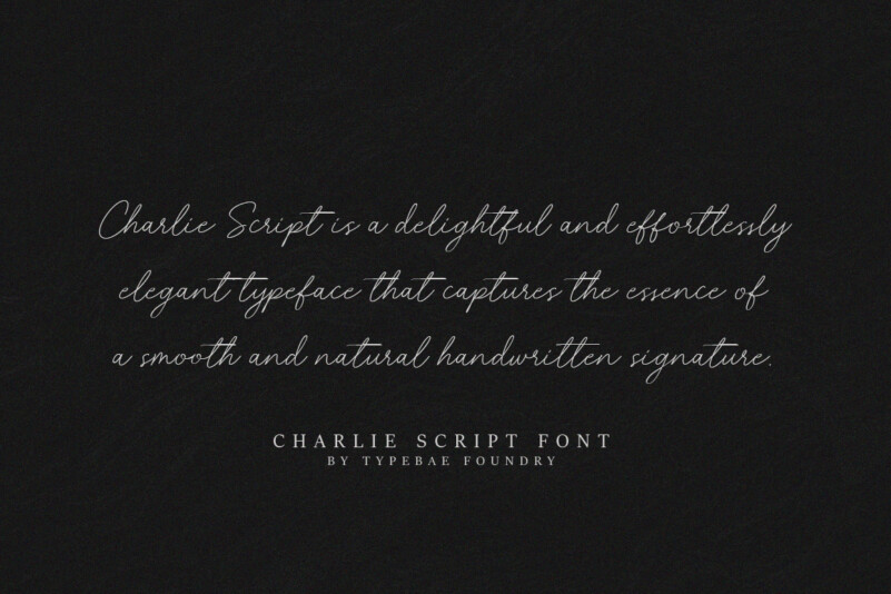 Charlie Script Font preview image 3