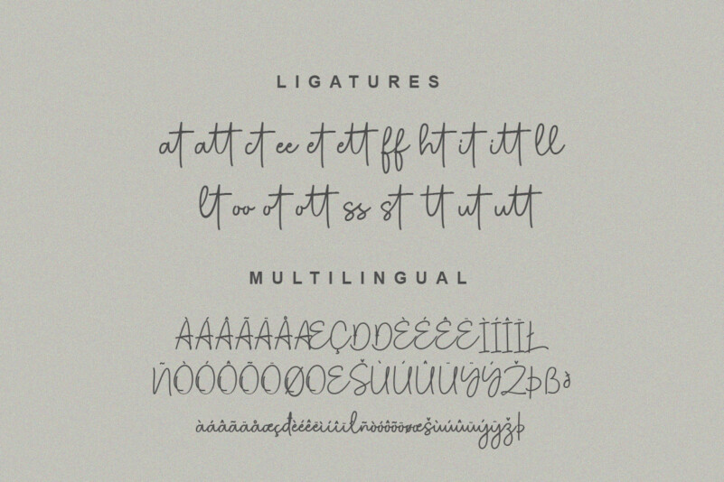 Halistine Signature Font preview image 4