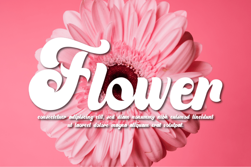 Thinking Script Font preview image 3