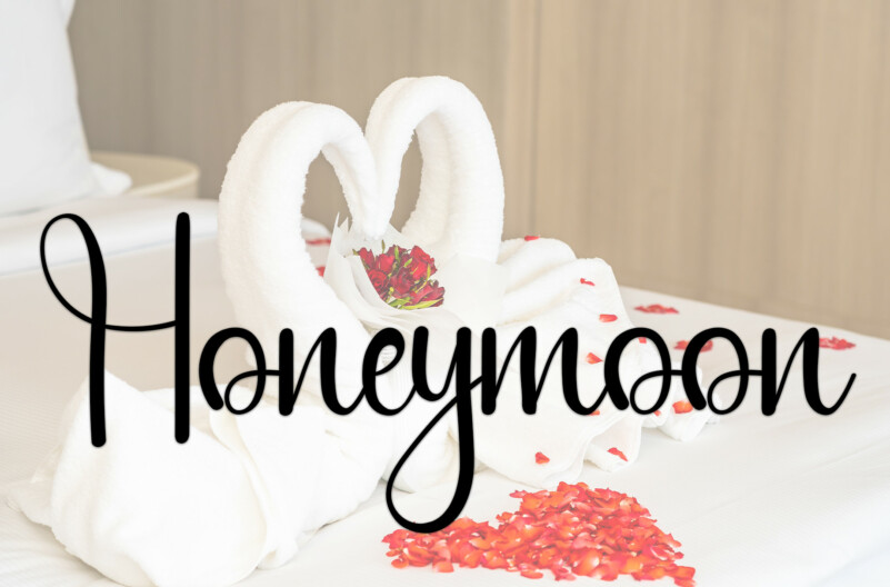 Lemon Juice Script Font preview image 2