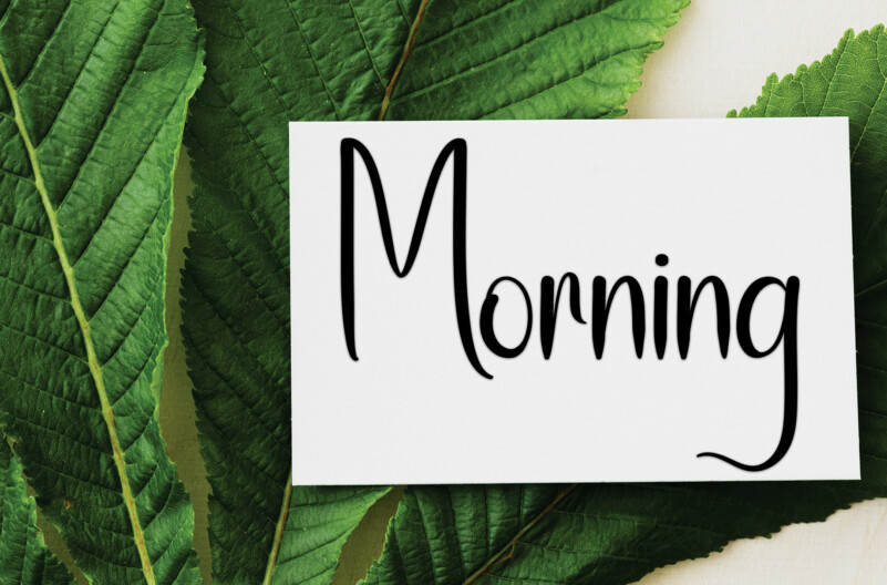 Spring Farmhouse Script Font preview image 3