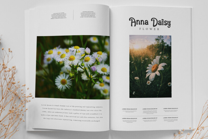Daisy Romeo Font preview image 2