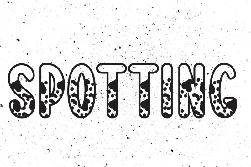 Spotting Display Font