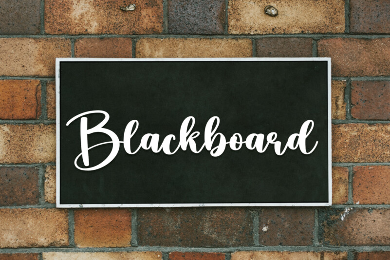 Wildflower Script Font preview image 3