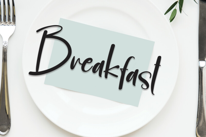 Housebold Script Font preview image 5