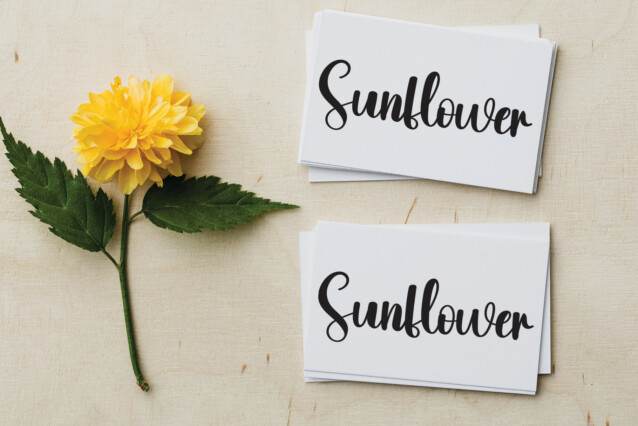 Hooked Script Font preview image 5