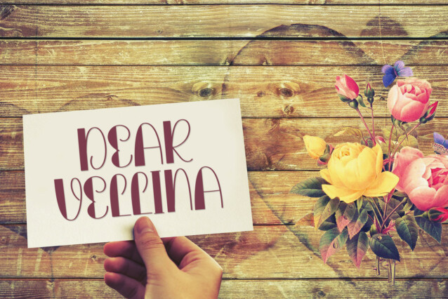 Monday Family Font preview image 2