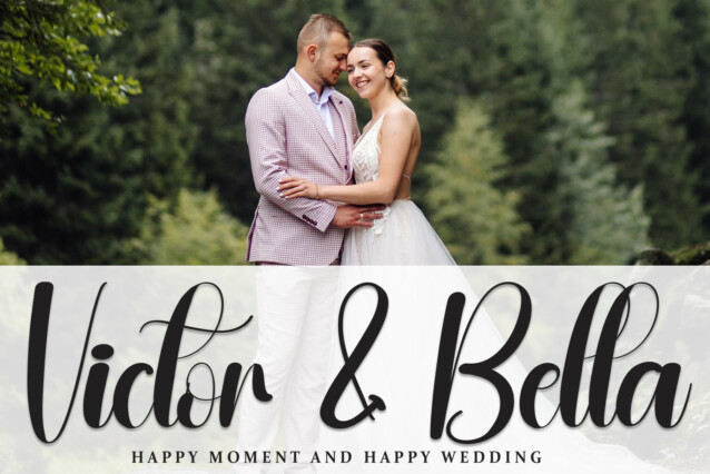 Butterflies Script Font preview image 2