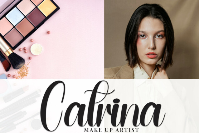Orderly Script Font preview image 4
