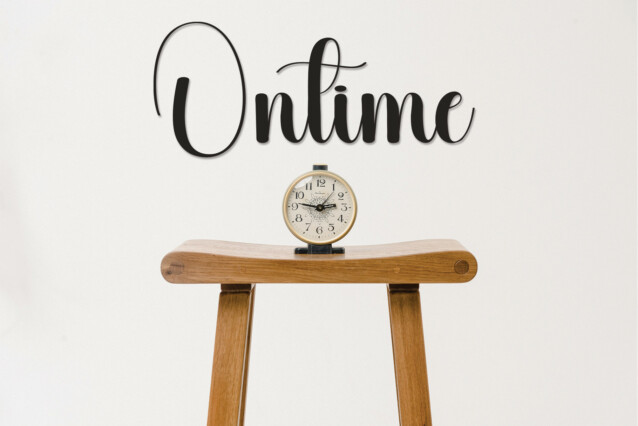 Snakefruit Script Font preview image 5