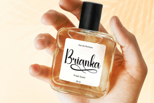 Attractive Script Font preview image 4