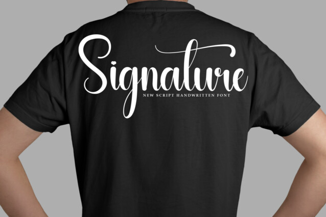 Attractive Script Font preview image 5