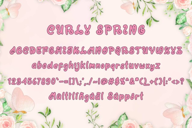 Curly Spring Display Font preview image 5