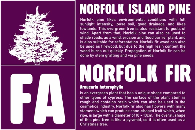 Arnel Rounded Font preview image 3