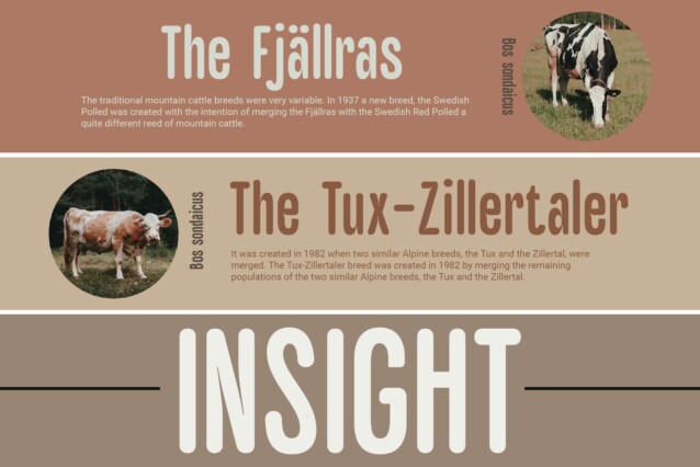 Galber Rounded Font preview image 3