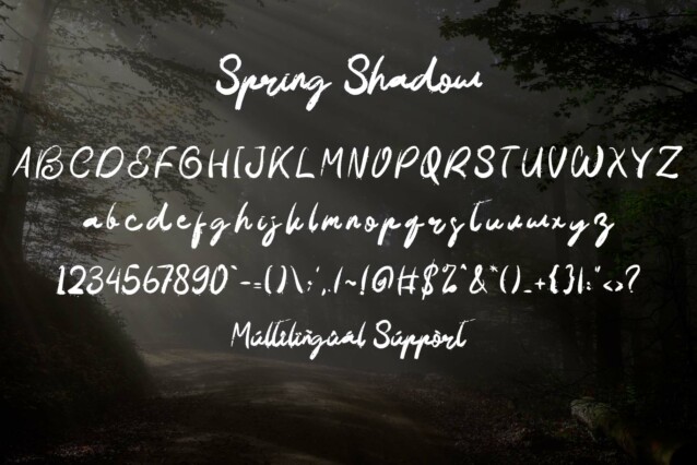 Spring Shadow Font preview image 5
