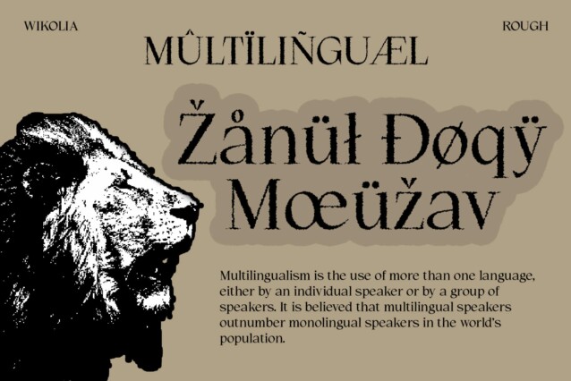 Wikolia Rough Font preview image 4