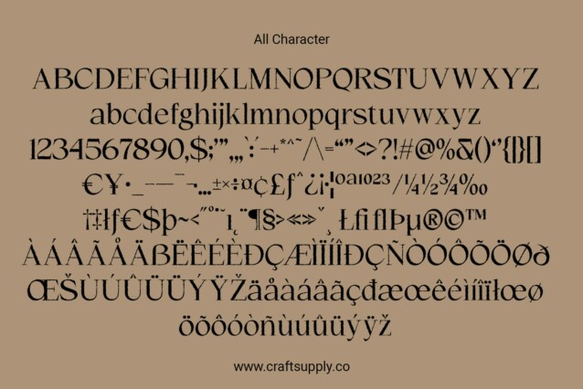 Wikolia Rough Font preview image 5